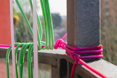 Close-up of pink metal fence against plants in park