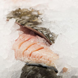 High angle view of cod fish on ice for sale at market