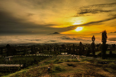 Scenic view of field against sky during sunset