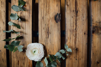 Close-up of flowers on wood