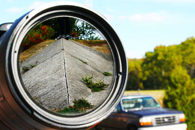 Reflection of trees in side-view mirror