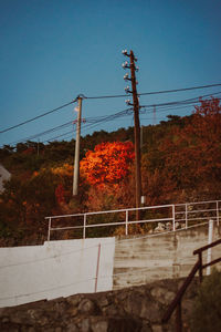 electricity