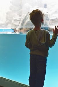 Rear view of boy looking in aquarium