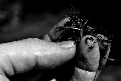 Close-up of fingers holding soil