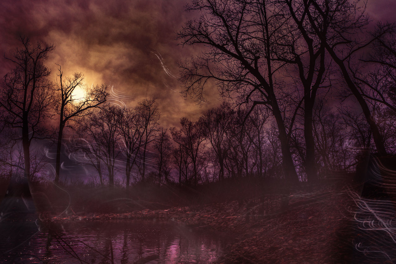 BARE TREES BY LAKE AGAINST SKY