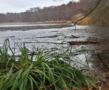 Close-up of frozen lake during winter