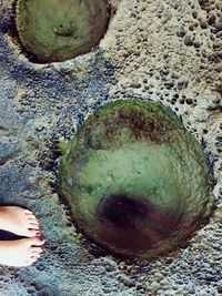 Low section of man standing in sea