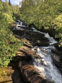 Stream flowing through rocks in forest