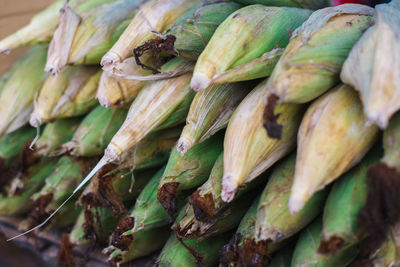 Close-up of vegetables