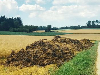 Hay bales on field against sky