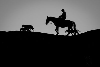 Low angle view of tree