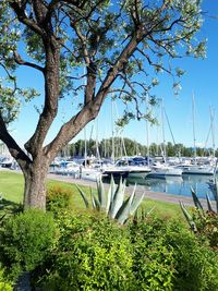 Boats moored on lake against sky