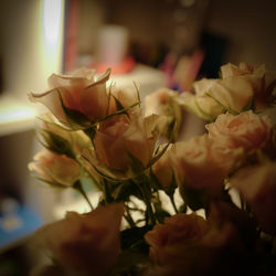 Close-up of rose bouquet