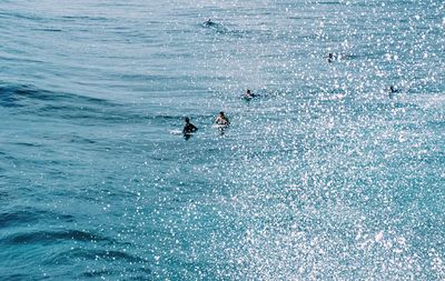 People on sea shore