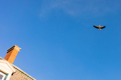 Low angle view of airplane flying in sky