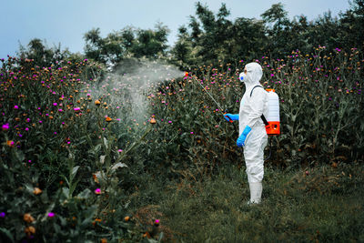 Person in protective suit spraying herbicide on thistle plants