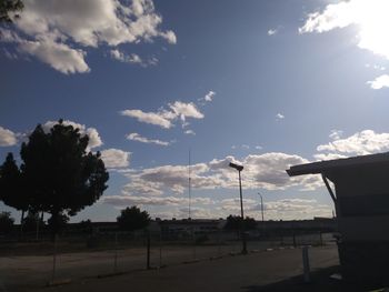 Trees against sky