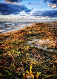 Scenic view of sea against sky