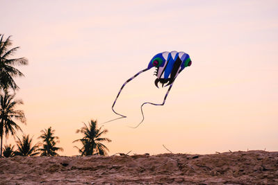 Person paragliding over beach against sky during sunset