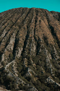 soil