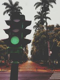 Street light and palm trees in city against clear sky