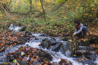 Stream flowing through rocks in forest