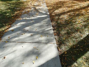 High angle view of shadow on water