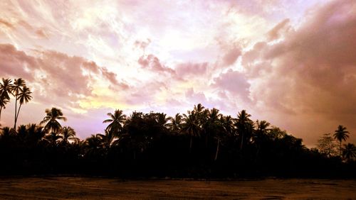 Silhouette trees against sky during sunset