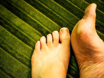 Cropped image of woman on green carpet