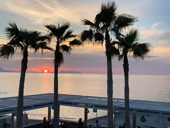 Palm trees by swimming pool against sky during sunset