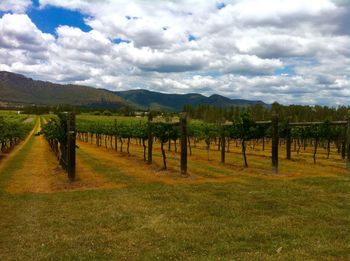 Scenic view of field against cloudy sky