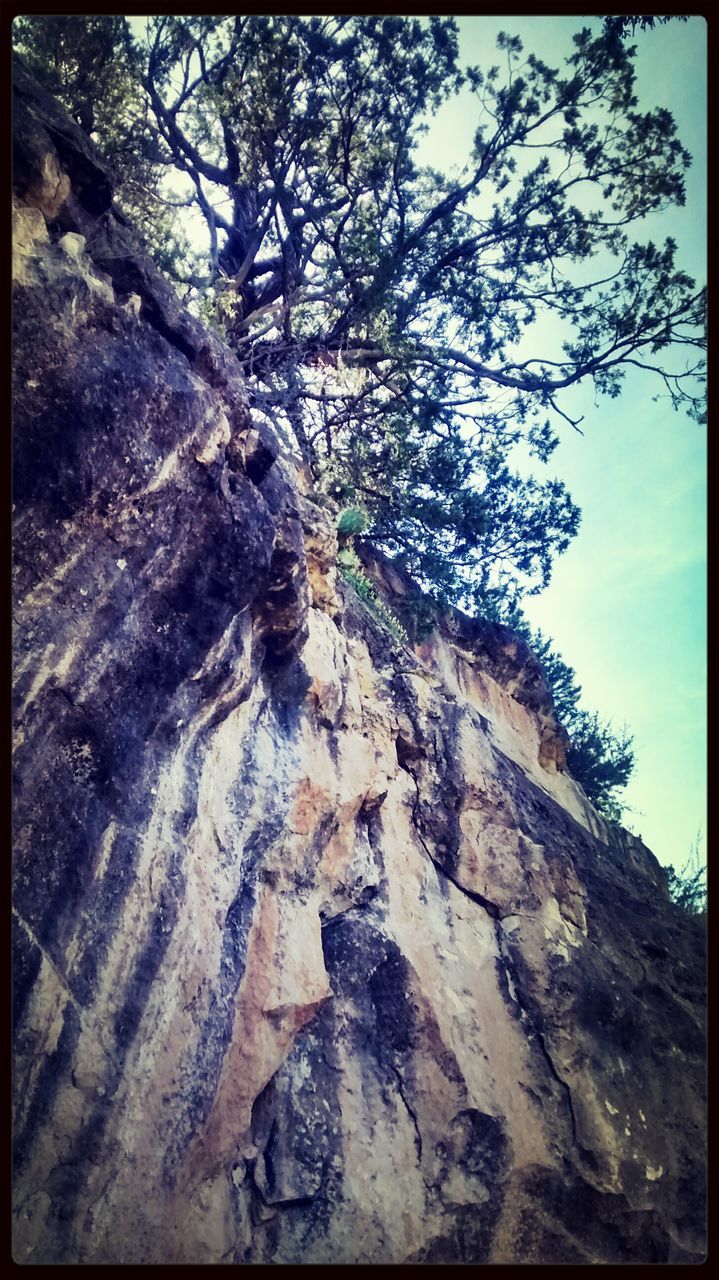 transfer print, tree, auto post production filter, low angle view, nature, tranquility, tree trunk, branch, rock - object, rock formation, textured, tranquil scene, sky, beauty in nature, scenics, rough, day, outdoors, no people, growth