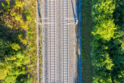 High angle view of road amidst trees