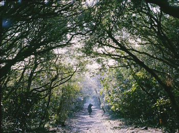 People in forest