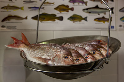 Close-up of fish on table