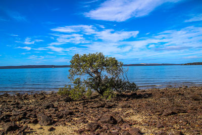 Scenic view of sea against blue sky