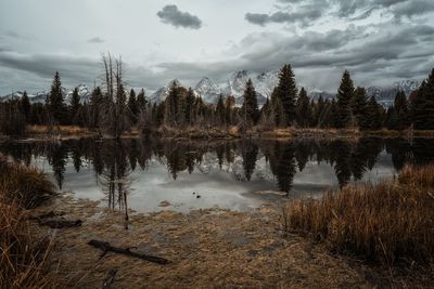 Reflection of trees in lake against sky