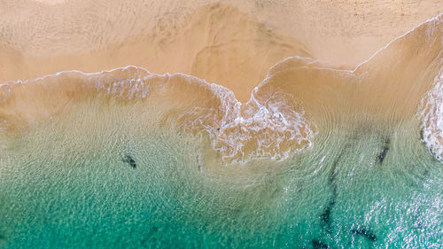 Aerial view of sea shore