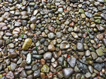 Full frame shot of pebbles on beach