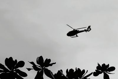 Low angle view of silhouette helicopter against sky