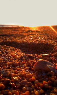 Close-up of pebbles