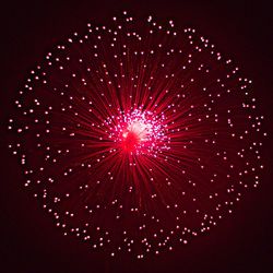 Low angle view of firework display at night