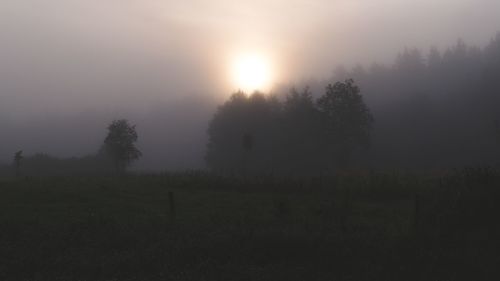 Trees on field against sky at morning