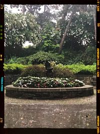 View of potted plants in garden