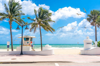 Palm trees on beach against sky