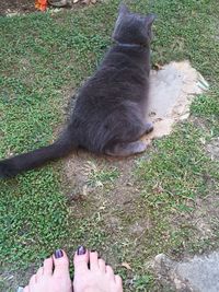 Low section of person standing on ground