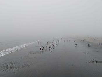 High angle view of people at beach during foggy weather
