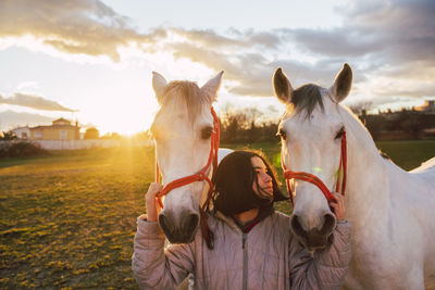 Horse standing on field during sunset