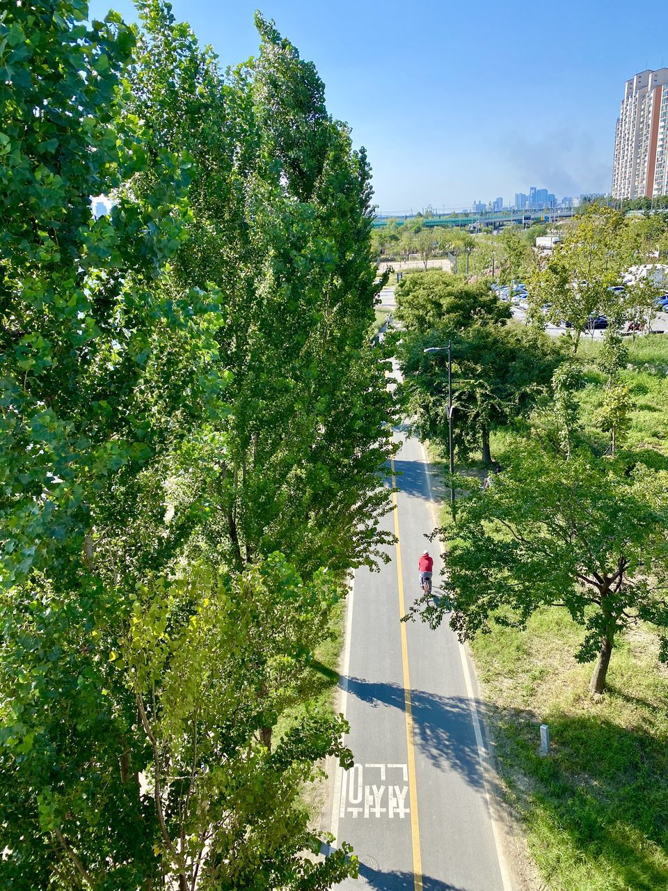 ROAD AMIDST TREES AGAINST SKY