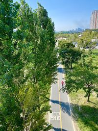 Road amidst trees and plants against sky